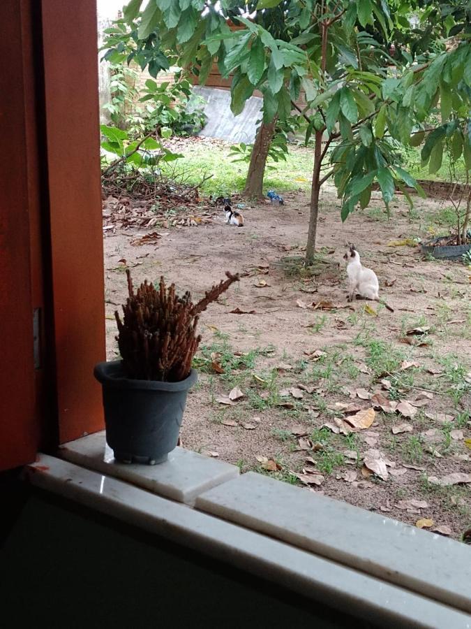 Caju Hostel อัลเตร์ ดู เชา ภายนอก รูปภาพ