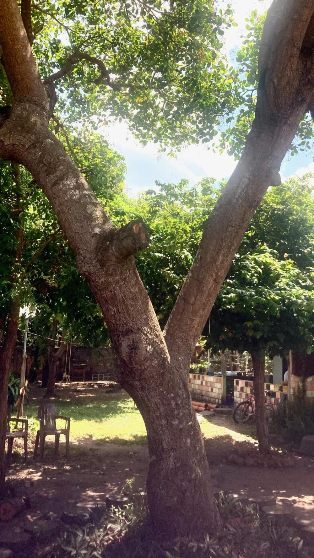 Caju Hostel อัลเตร์ ดู เชา ภายนอก รูปภาพ